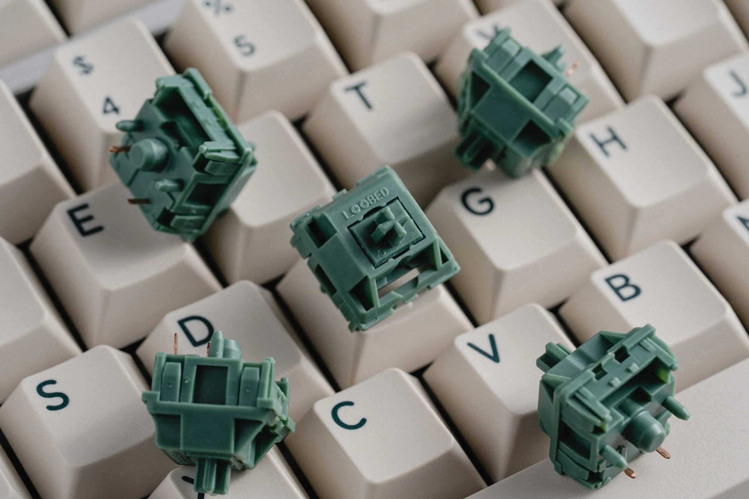 Pine Linear Switches By Loobedswitches – axiom studios